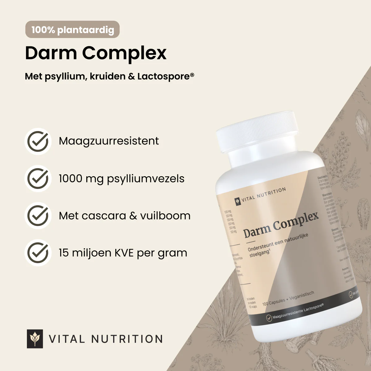 Darm Complex - Image 2