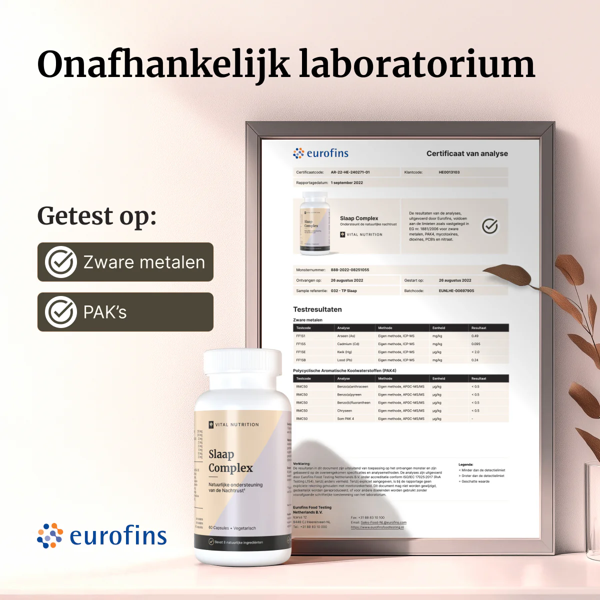 Slaap Complex - Image 4