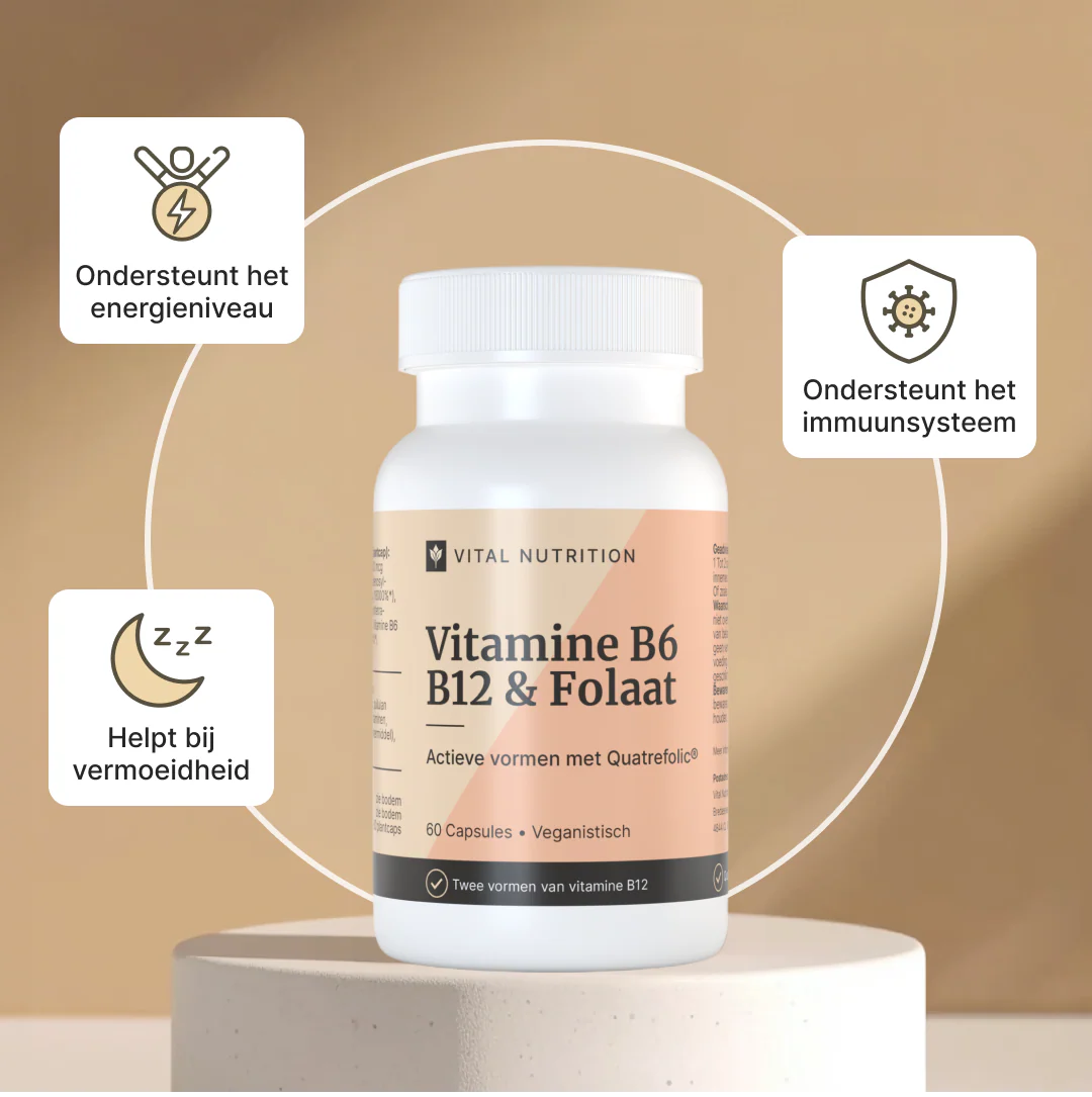 Vitamine B6 B12 & Folaat - Image 3